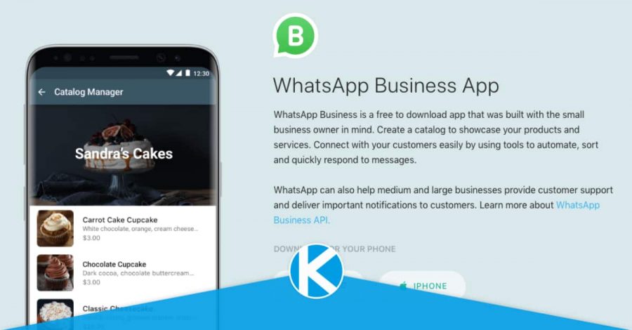 whatsapp-business-linkitb